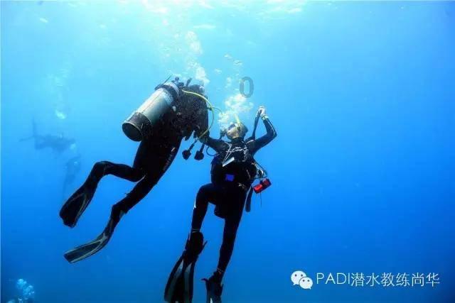 商河县今年将全面建成“温泉花乡”乡村振兴齐鲁样板省级示范区